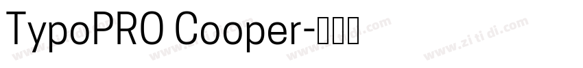 TypoPRO Cooper字体转换
